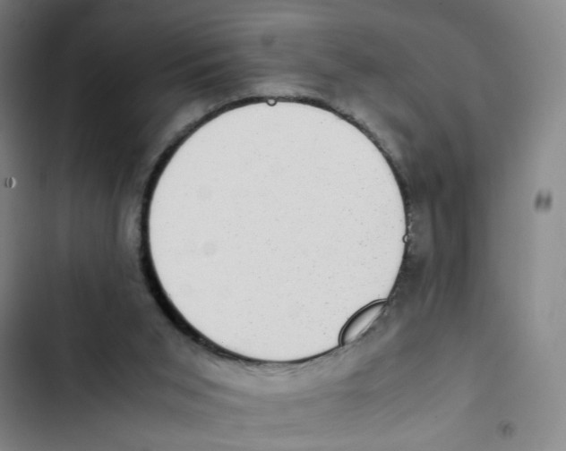 X0000102860015200809151222