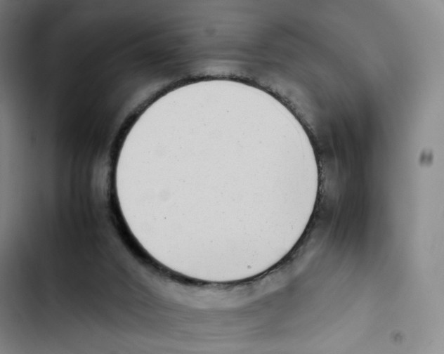 X0000102860016200809151222