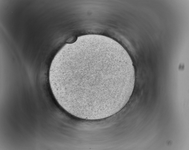 X0000102860017200809151222