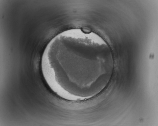 X0000102860018200809151222