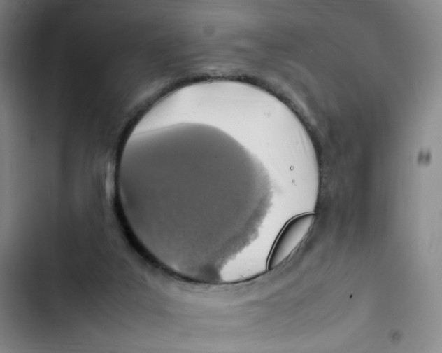 X0000102860019200809151222