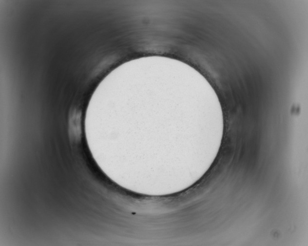 X0000102860020200809151222