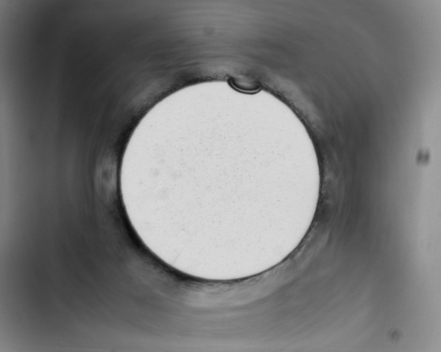 X0000102860021200809151222