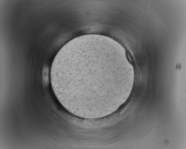 X0000102860022200809151222