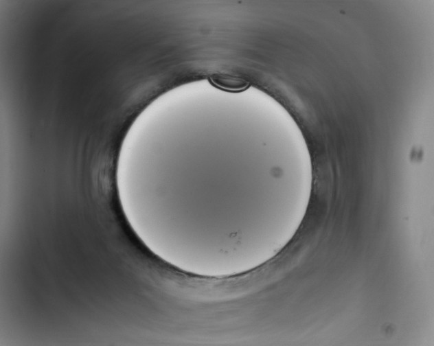 X0000102860023200809151222