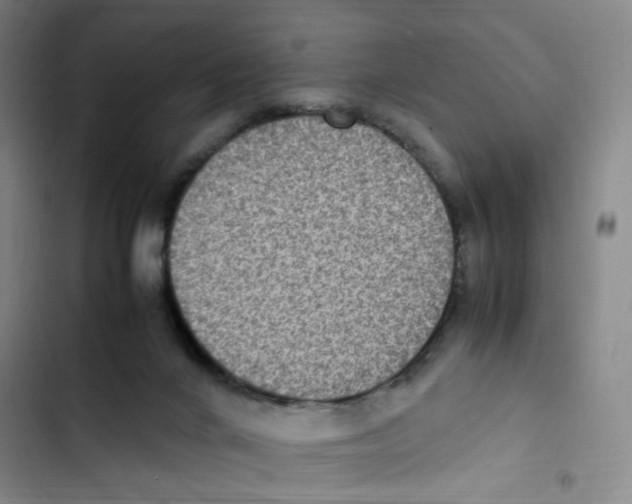 X0000102860024200809151222