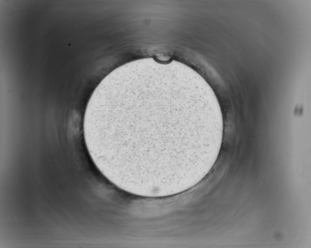 X0000102860025200809151222
