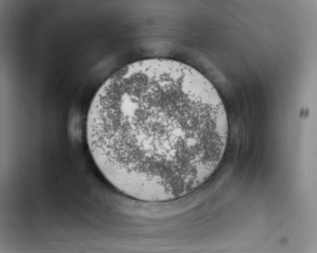 X0000102860026200809151222