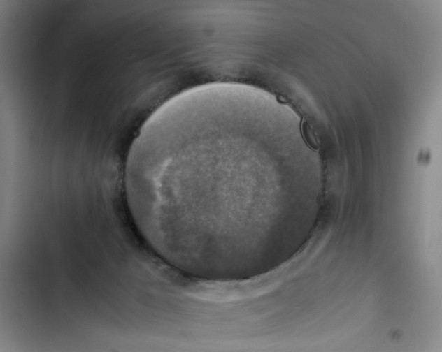 X0000102860029200809151222