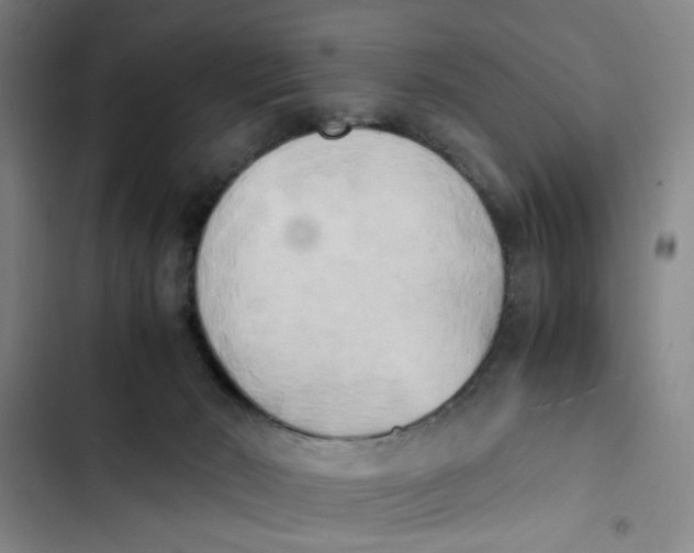 X0000102860030200809151222