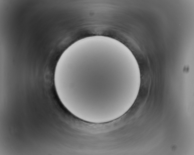 X0000102860031200809151222