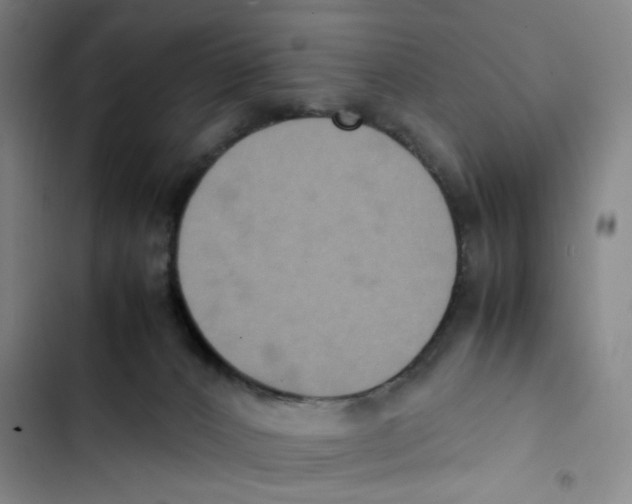 X0000102860032200809151222