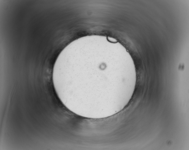 X0000102860033200809151222