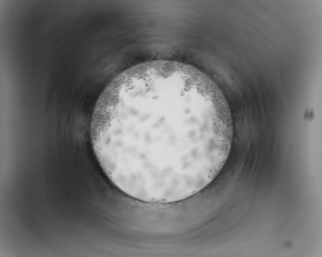 X0000102860034200809151222