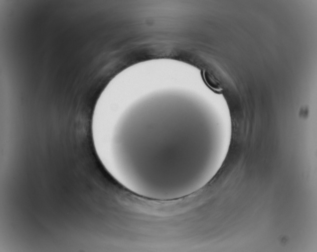 X0000102860035200809151222