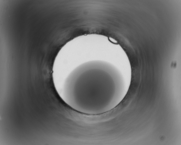 X0000102860039200809151222
