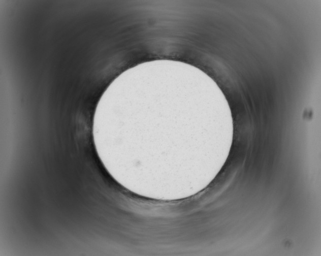 X0000102860040200809151222