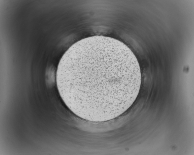 X0000102860042200809151222
