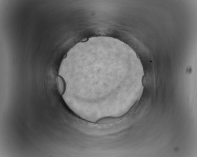 X0000102860043200809151221