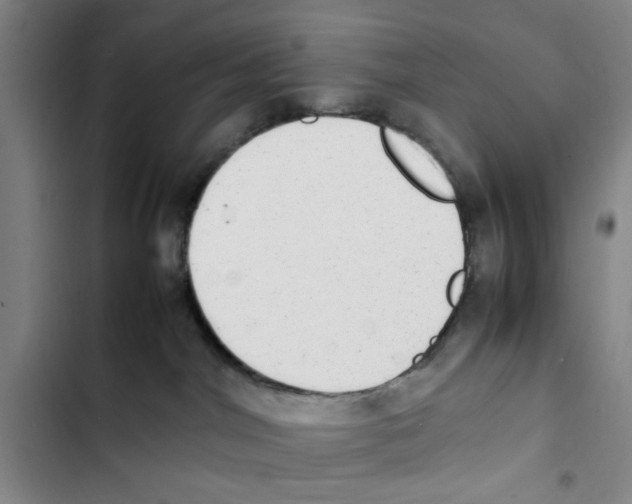 X0000102860044200809151221