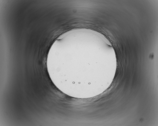 X0000102860045200809151221