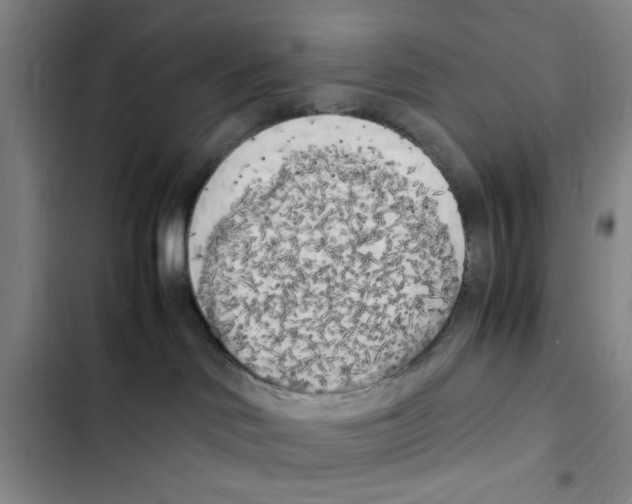 X0000102860046200809151221
