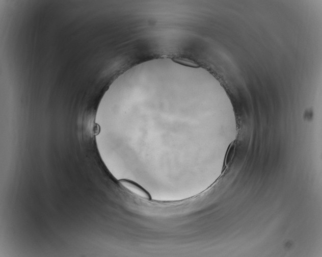 X0000102860047200809151221