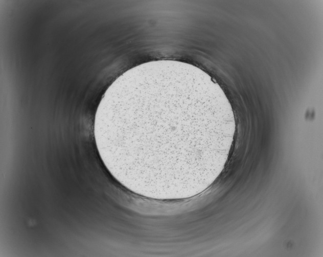 X0000102860048200809151221