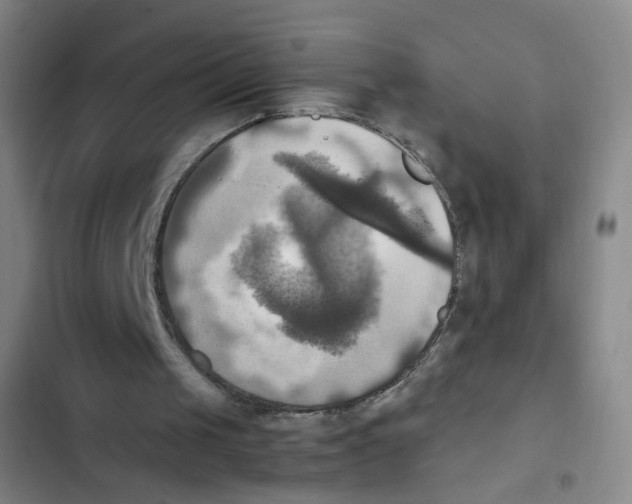 X0000102860049200809151221