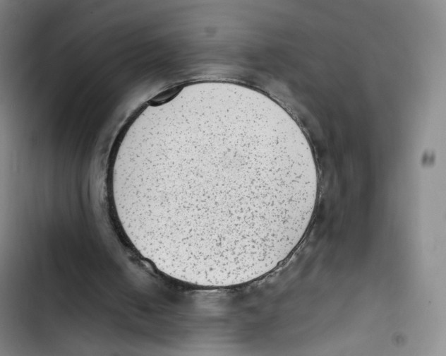 X0000102860050200809151221