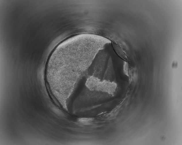 X0000102860051200809151221