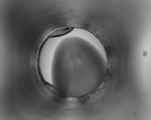 X0000102860052200809151221