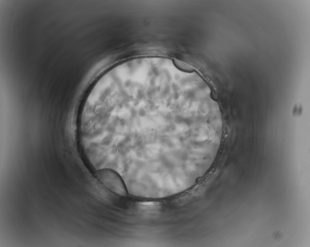 X0000102860053200809151221