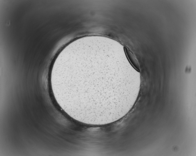 X0000102860054200809151221