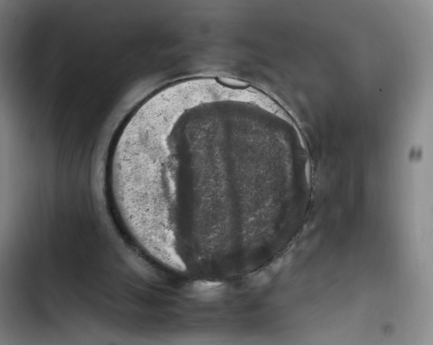 X0000102860055200809151221