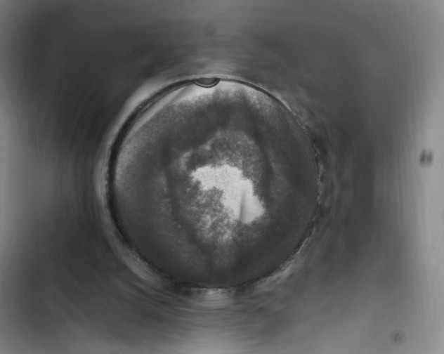X0000102860056200809151221