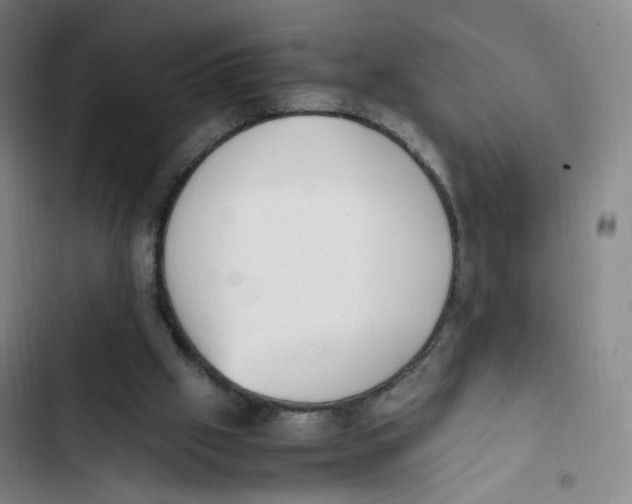 X0000102860057200809151221