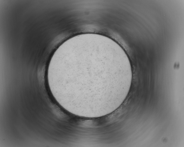 X0000102860058200809151221