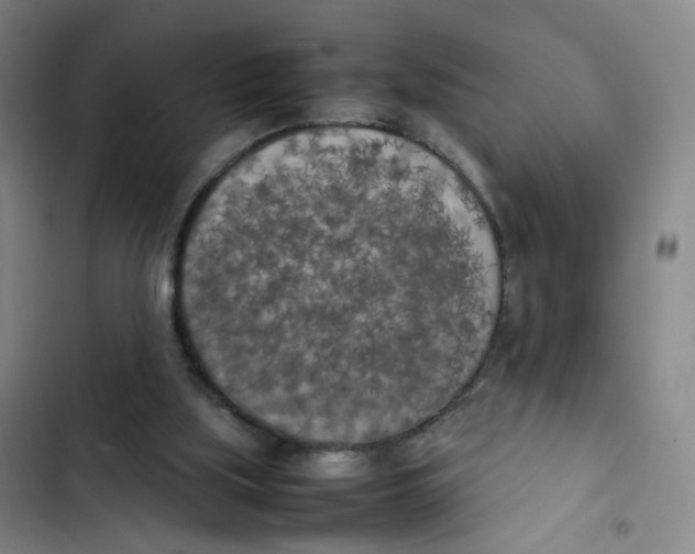 X0000102860059200809151221