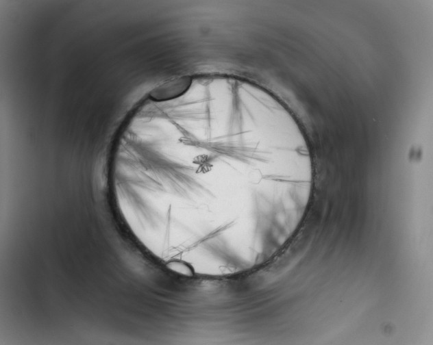 X0000102860060200809151221