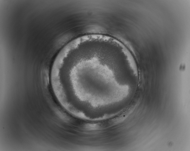 X0000102860061200809151221