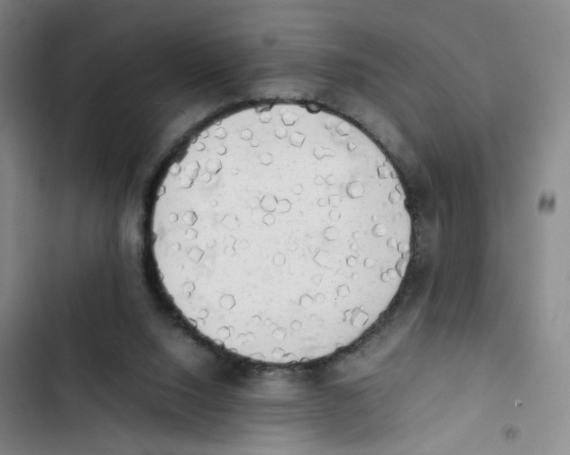 X0000102860064200809151221