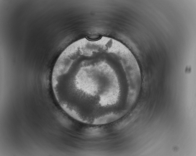 X0000102860065200809151221