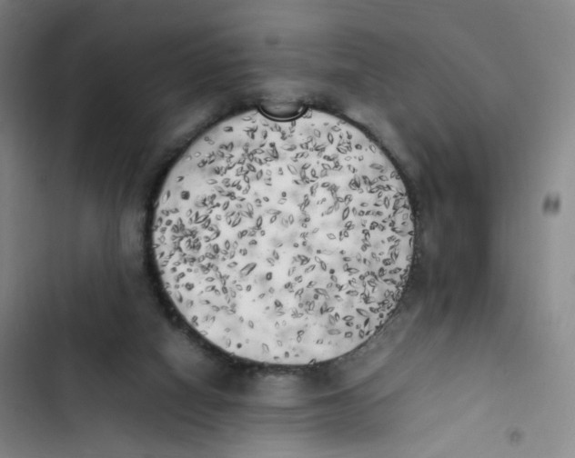X0000102860066200809151221