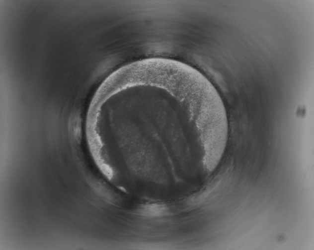 X0000102860067200809151221