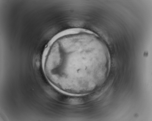 X0000102860069200809151221