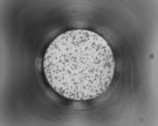 X0000102860070200809151221