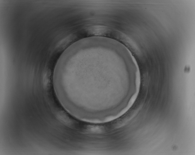 X0000102860073200809151221
