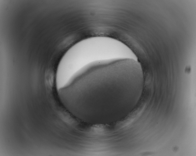 X0000102860076200809151221