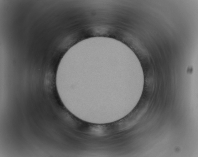 X0000102860079200809151221